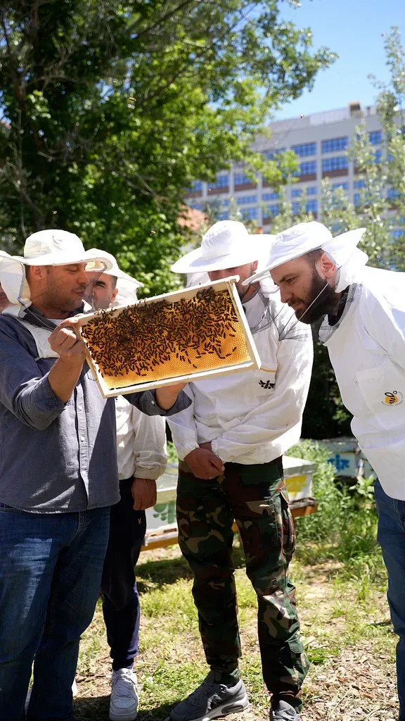 Vodič drži ram pun pčela pred grupom u pčelarskim odelima, iza njih košnice u travi