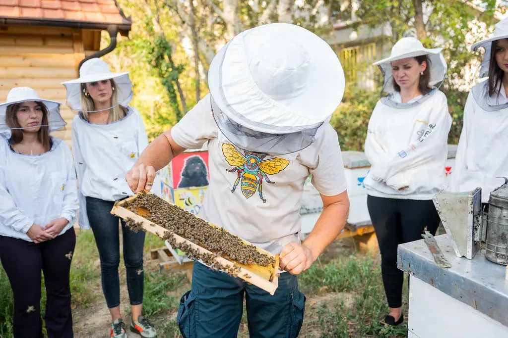 Pčelar drži ram sa pčelama, oko njega učesnici tim bildinga u pčelarskim odelima